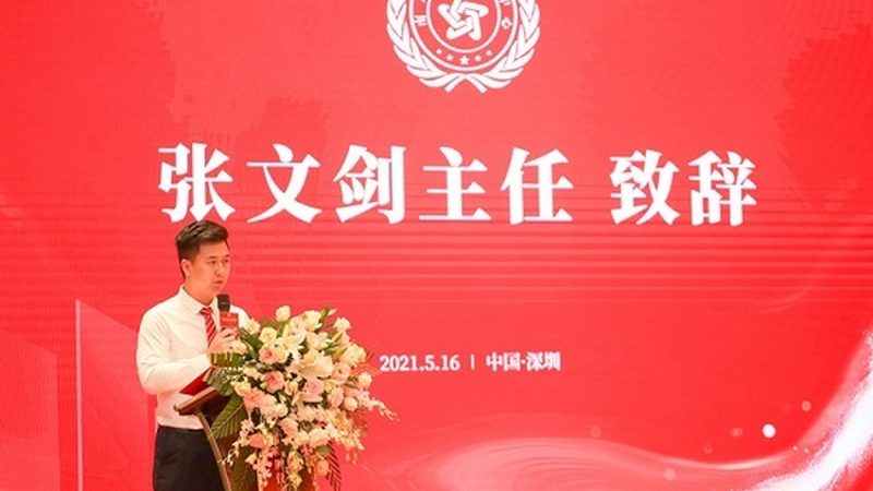 MG动画：创意与技术的完美融合，上海优质厂家推荐**